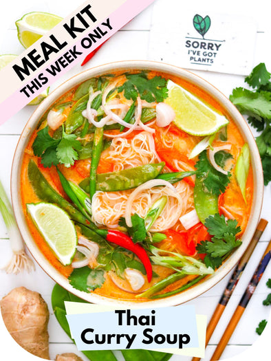 SOUP SERIES: Thai Curry Soup
