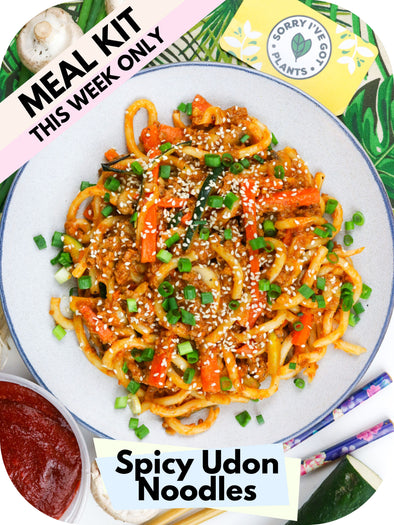 Spicy Udon Noodles