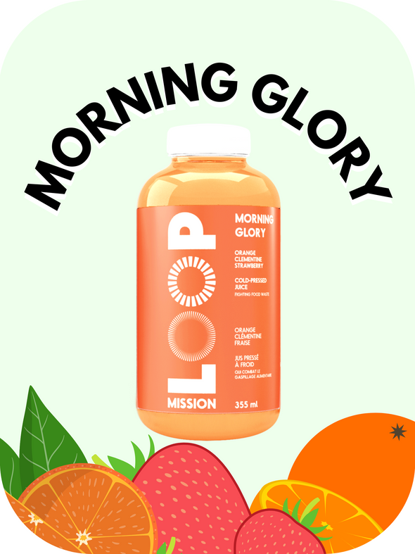 LOOP - Morning Glory